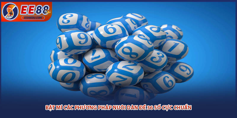 Bật mí các phương pháp nuôi dàn đề 36 số cực chuẩn