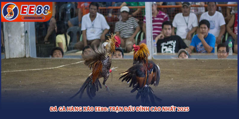 Đá Gà Hàng Xáo EE88: Trận Đấu Đỉnh Cao Nhất 2025