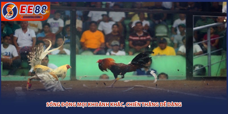 Sống động mọi khoảnh khắc, chiến thắng dễ dàng